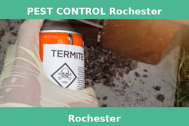PEST CONTROL Rochester